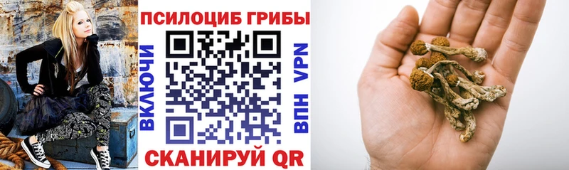 как найти закладки Орск Псилоцибиновые грибы GOLDEN TEACHER